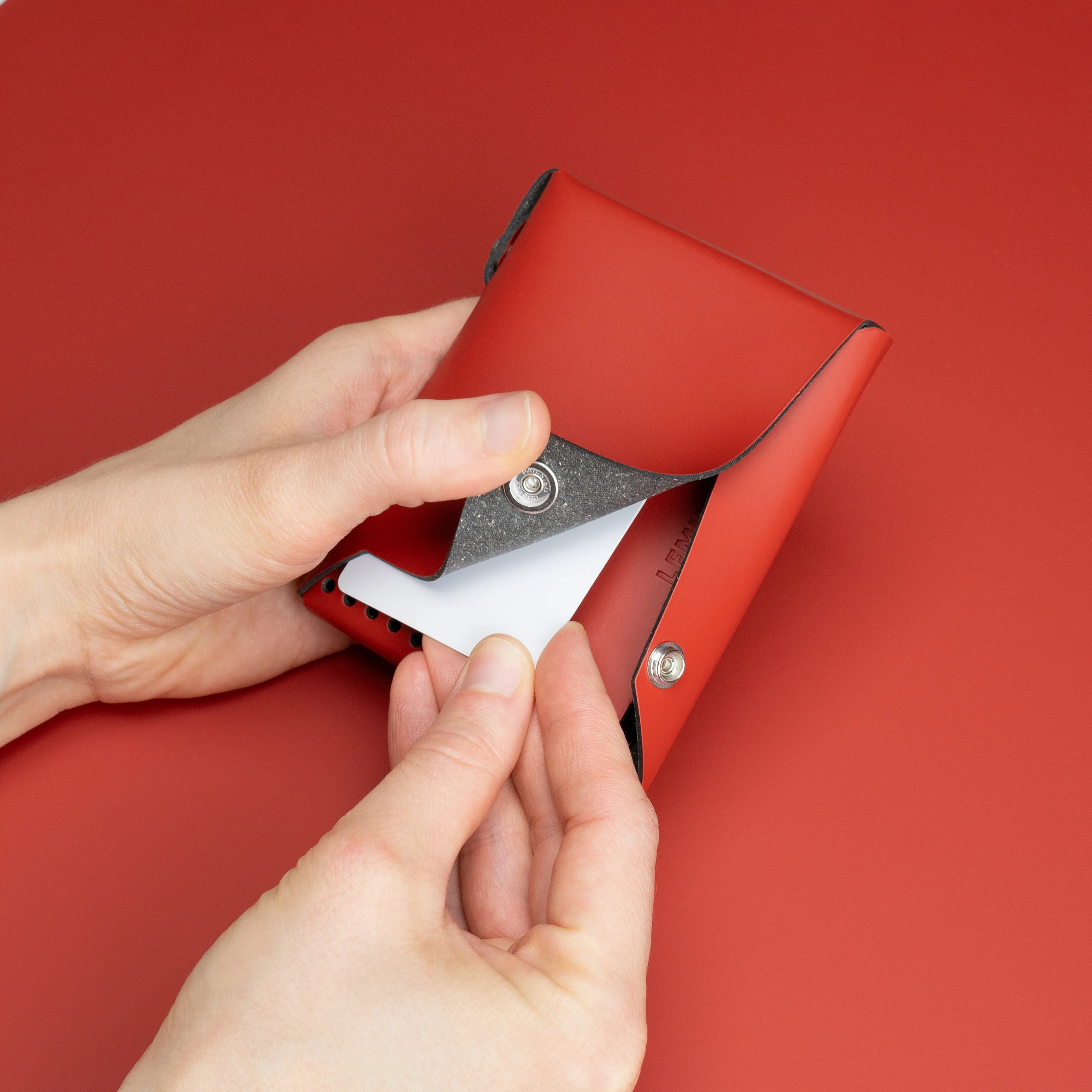 Lemur Cover - Light Phone III - Image 5