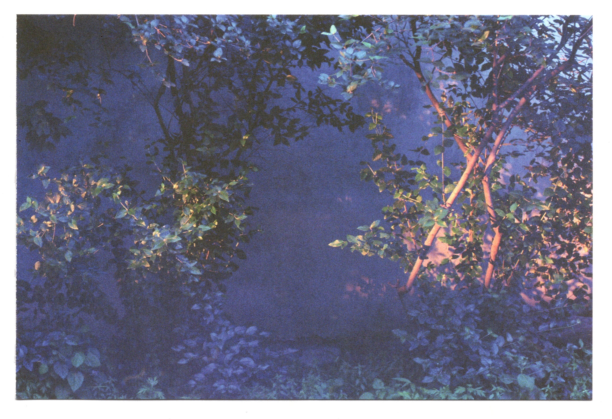 Light Postcard Set (SOLD OUT) - Image 7