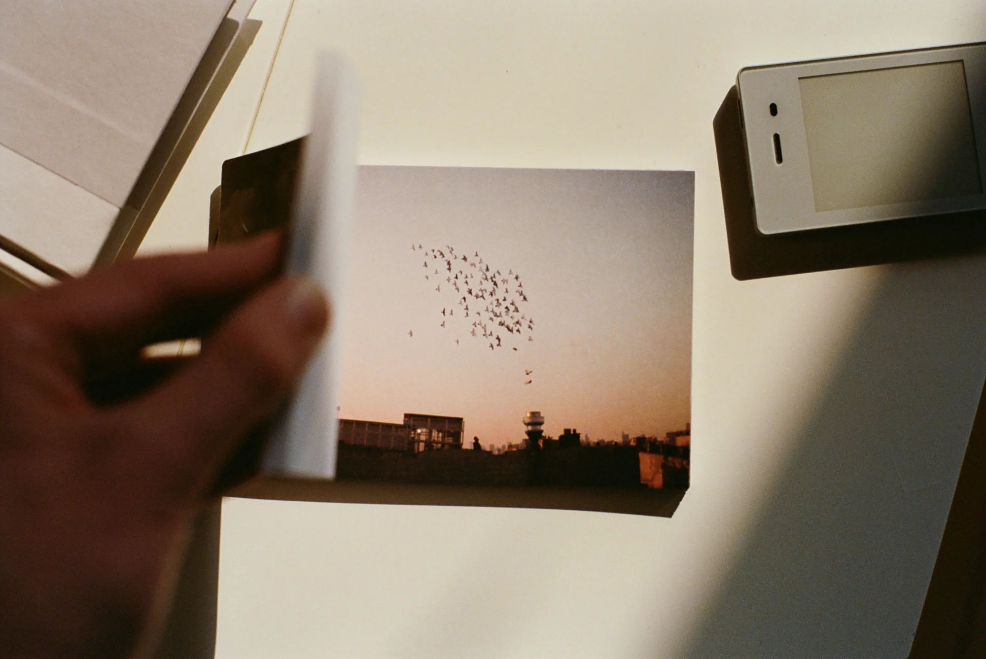 Light Postcard Set (SOLD OUT) - Image 8