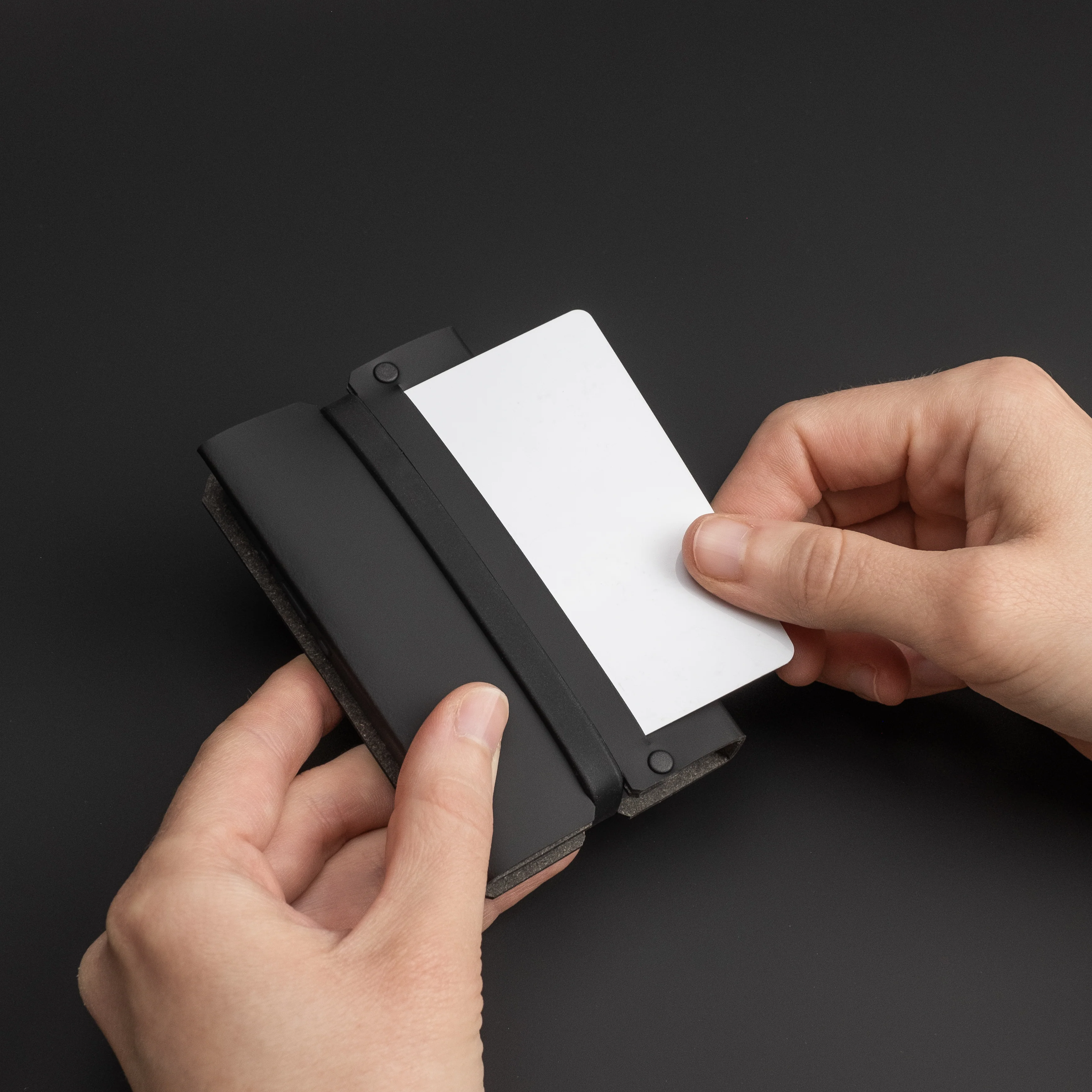 Lemur Cover - Light Phone II - Image 5